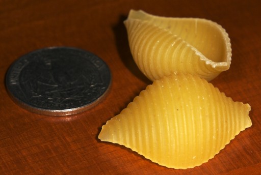 conchiglie: 4. obrázek